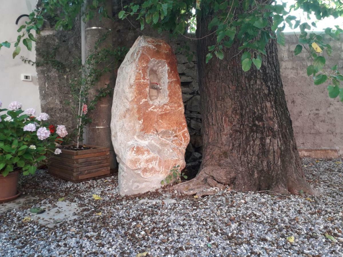 Agriturismo Kralj Trieszt Kültér fotó